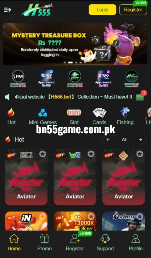 H555 Game
