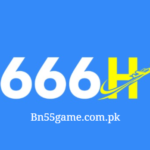 666H Game